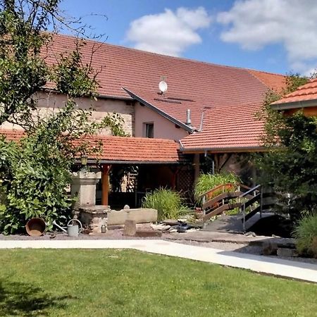 Bed and Breakfast Hagebuche Brouviller Zewnętrze zdjęcie