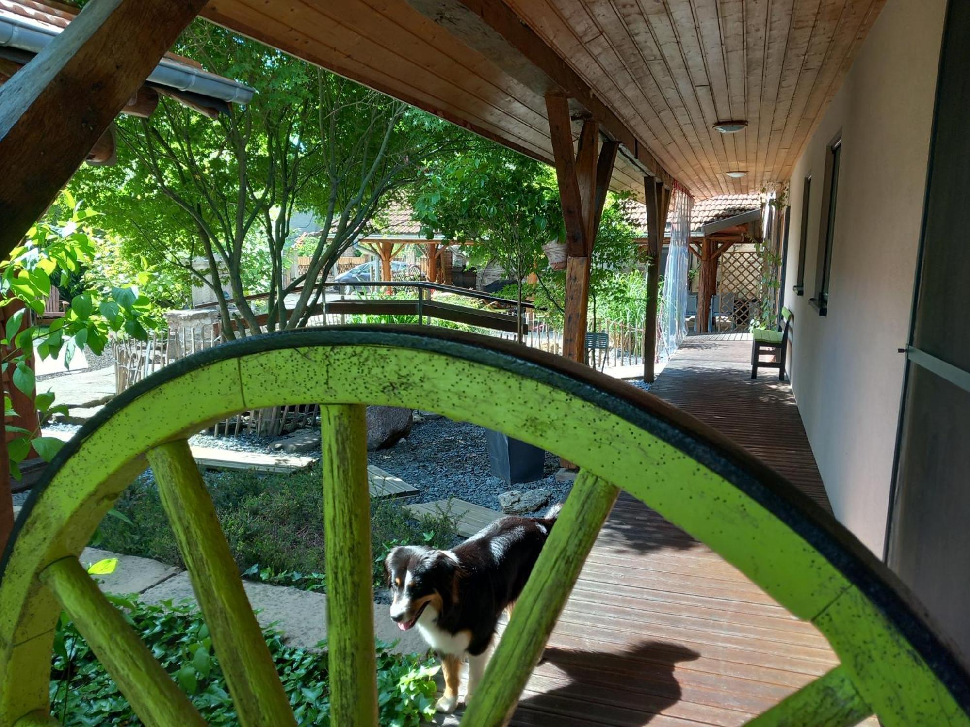 Bed and Breakfast Hagebuche Brouviller Zewnętrze zdjęcie